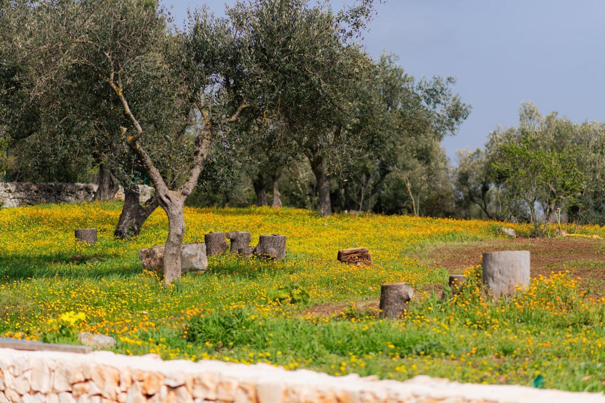 Villa Trulli Magda Martina Franca Esterno foto