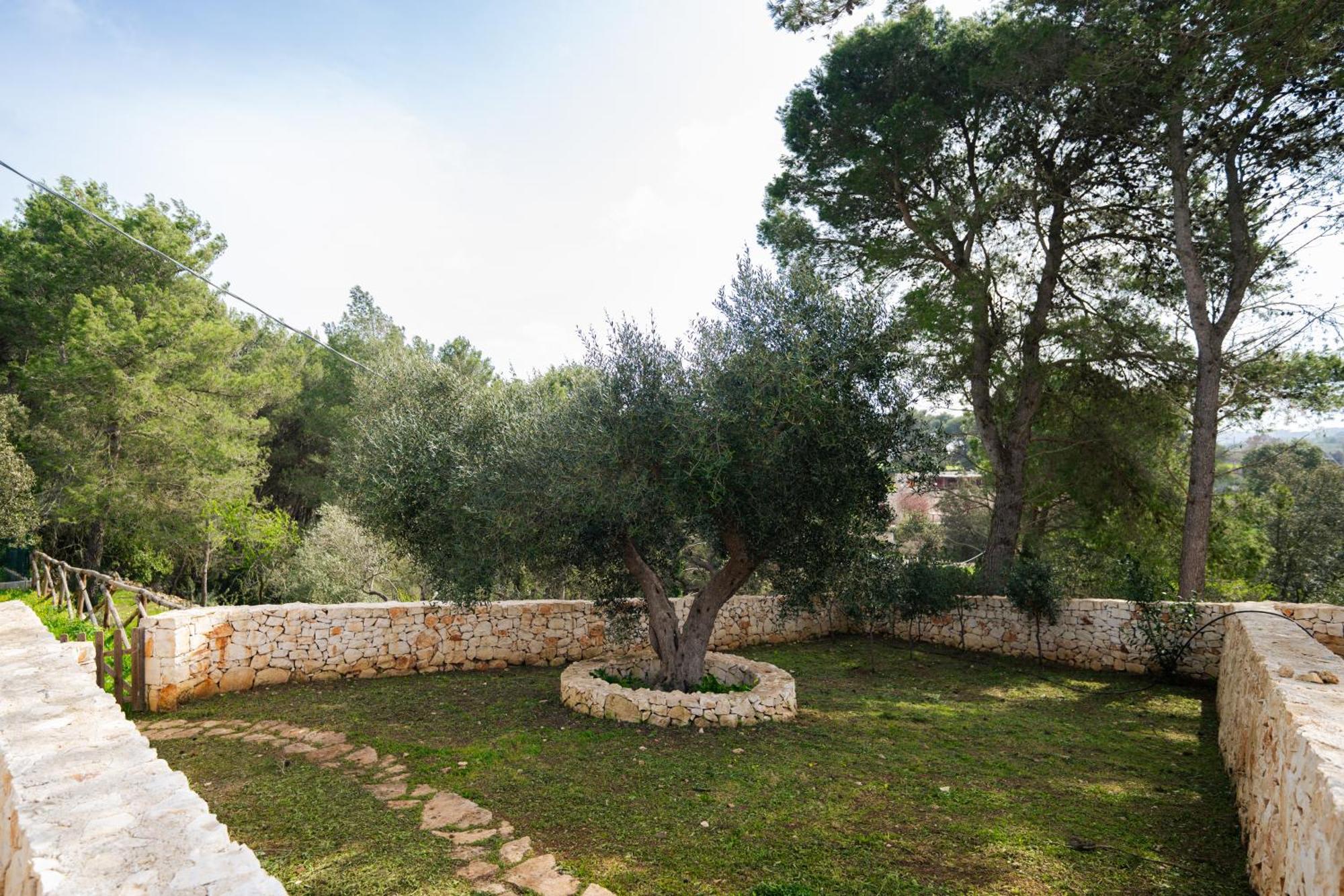 Villa Trulli Magda Martina Franca Esterno foto